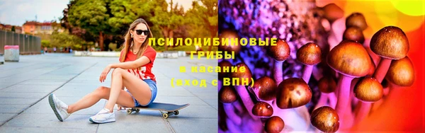 соль ск Армянск