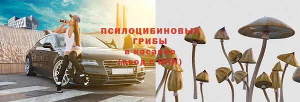соль ск Армянск