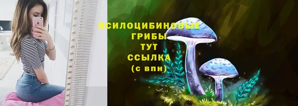 мескалин Арсеньев